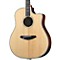 Stage Dreadnought 2014 Acoustic-Electric Guitar Level 2 Natural 888365354101