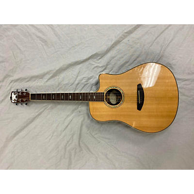 Breedlove Stage Dreadnought Acoustic Electric Guitar