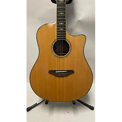Breedlove Stage Dreadnought Acoustic Electric Guitar