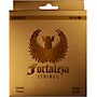 FORTALEZA GUITARS Stainless Steel Ball End Bajo Quinto Strings