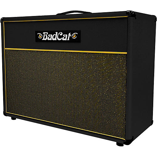 Standard Extension 120W 2x12 Guitar Speaker Cabinet