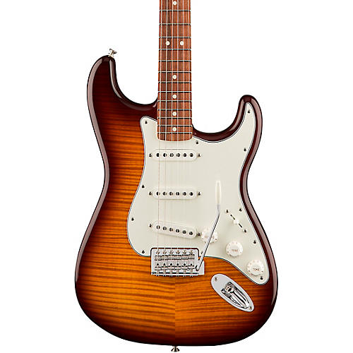 Standard Stratocaster Plus Top Pau Ferro Fingerboard