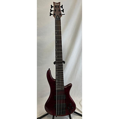 Schecter Guitar Research Stiletto Custom 6 String Electric Bass Guitar