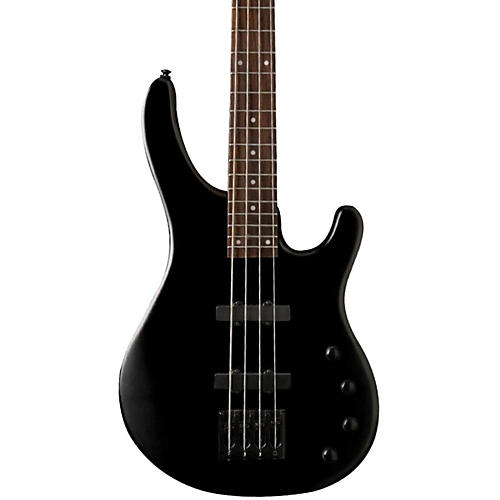 Stu Hamm Signature Electric Bass