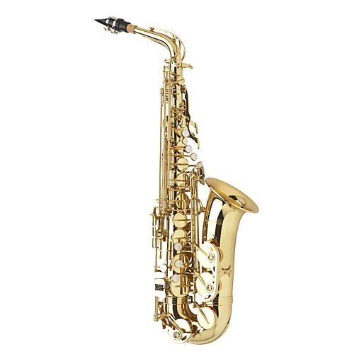 Student Alto Saxophone Outfit