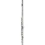 Wm. S Haynes Amadeus Student Flute: silver-plated headjoint, body, and mechanism, plateau keys, French pointed arms, offset G, C foot Offset G C-Foot