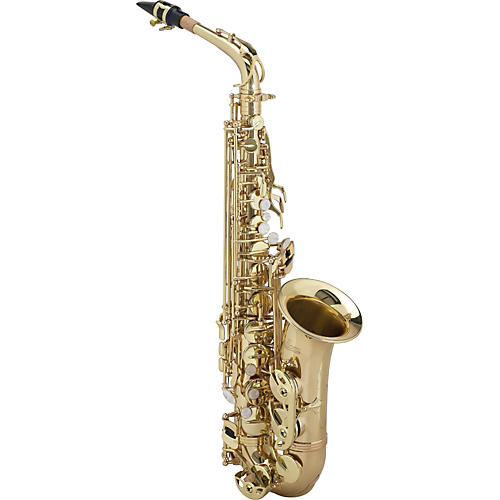 Student Series Alto Saxophone Model AAAS-301