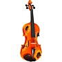 Open-Box Rozanna's Violins Sunflower Delight Series Violin Outfit Condition 1 - Mint 4/4 Size