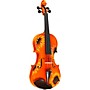 Open-Box Rozanna's Violins Sunflower Delight Series Violin Outfit Condition 2 - Blemished 4/4 Size 197881094652