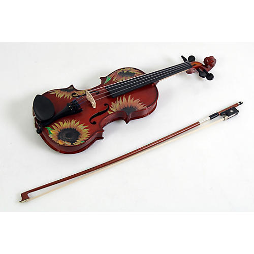 Rozanna's Violins Sunflower Delight Series Violin Outfit Condition 3 - Scratch and Dent 1/2 Size 194744499203