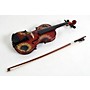 Open-Box Rozanna's Violins Sunflower Delight Series Violin Outfit Condition 3 - Scratch and Dent 1/2 Size 194744499203
