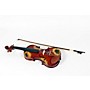 Open-Box Rozanna's Violins Sunflower Delight Series Violin Outfit Condition 3 - Scratch and Dent 4/4 Size 197881278823