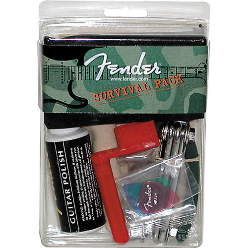 Survival Pack for Electric Guitar