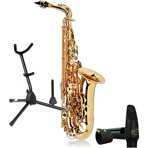System-76AGL Professional Gold Lacquered Alto Saxophone Kit