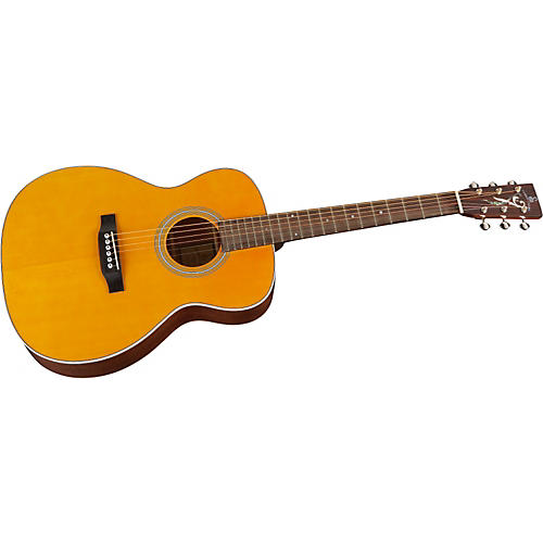 T-160 Acoustic Guitar
