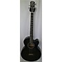 Used Mitchell T239bce Acoustic Bass Guitar Mahogany