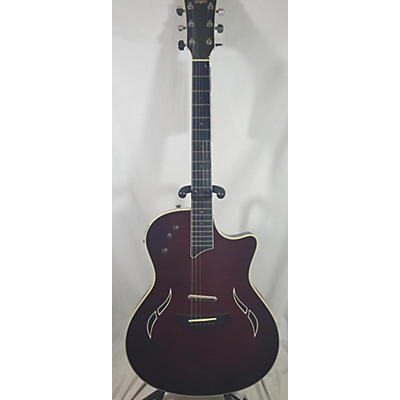 Taylor T5-S1 Hollow Body Electric Guitar