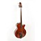 TB10 Legacy Series Acoustic-Electric Upright Bass Level 2 Gloss Red Stain 888365395807