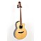 TC135SC Classical 24-Fret Cutaway Acoustic-Electric Guitar Level 3 Natural 888365337296