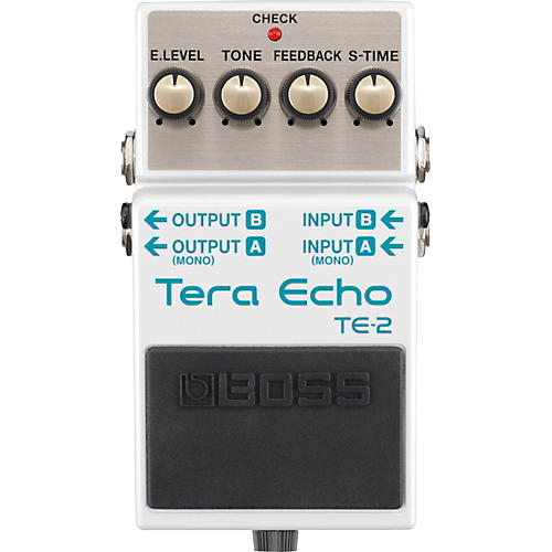 Echo pedal deals guitar