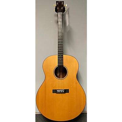 Gold Tone TG-18 Acoustic Guitar