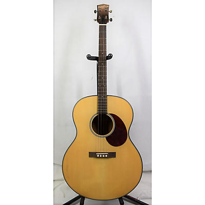 Gold Tone TG10 Tenor Acoustic Guitar