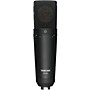TASCAM TM-180 Large-Diaphragm Condenser Microphone