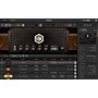 IK Multimedia TONEX Standard Plug-in