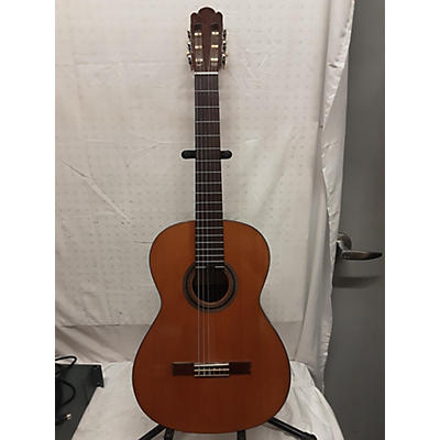 Pavan TP-10 Acoustic Guitar