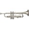 TRB-801 Series Bb Trumpet Level 2 TRB-801S Silver 888365579313