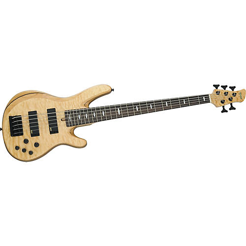 TRB1005 5-String Electric Bass