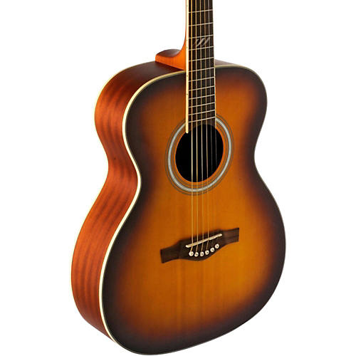 TRI Series Auditorium Acoustic Guitar