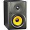 TRUTH B1030A Active Monitor (Single) Level 1