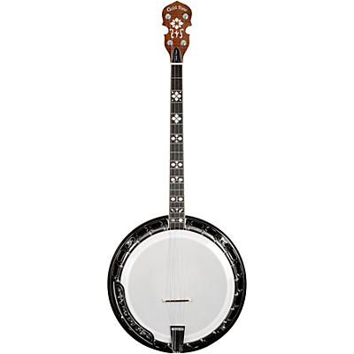 Gold Tone TS-250 Tenor Special Banjo With Case
