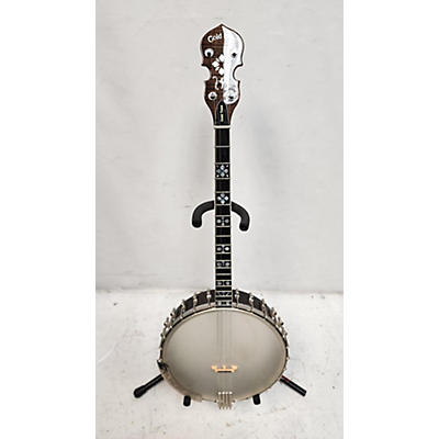 Gold Tone TS250 Custom Banjo