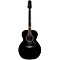 Takamine LTD2015 Renge-So Mini Jumbo Acoustic-Electric Guitar Level 2 Black 888365596709