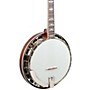 Open-Box Recording King The Elite Traditional Banjo Condition 2 - Blemished  197881433864