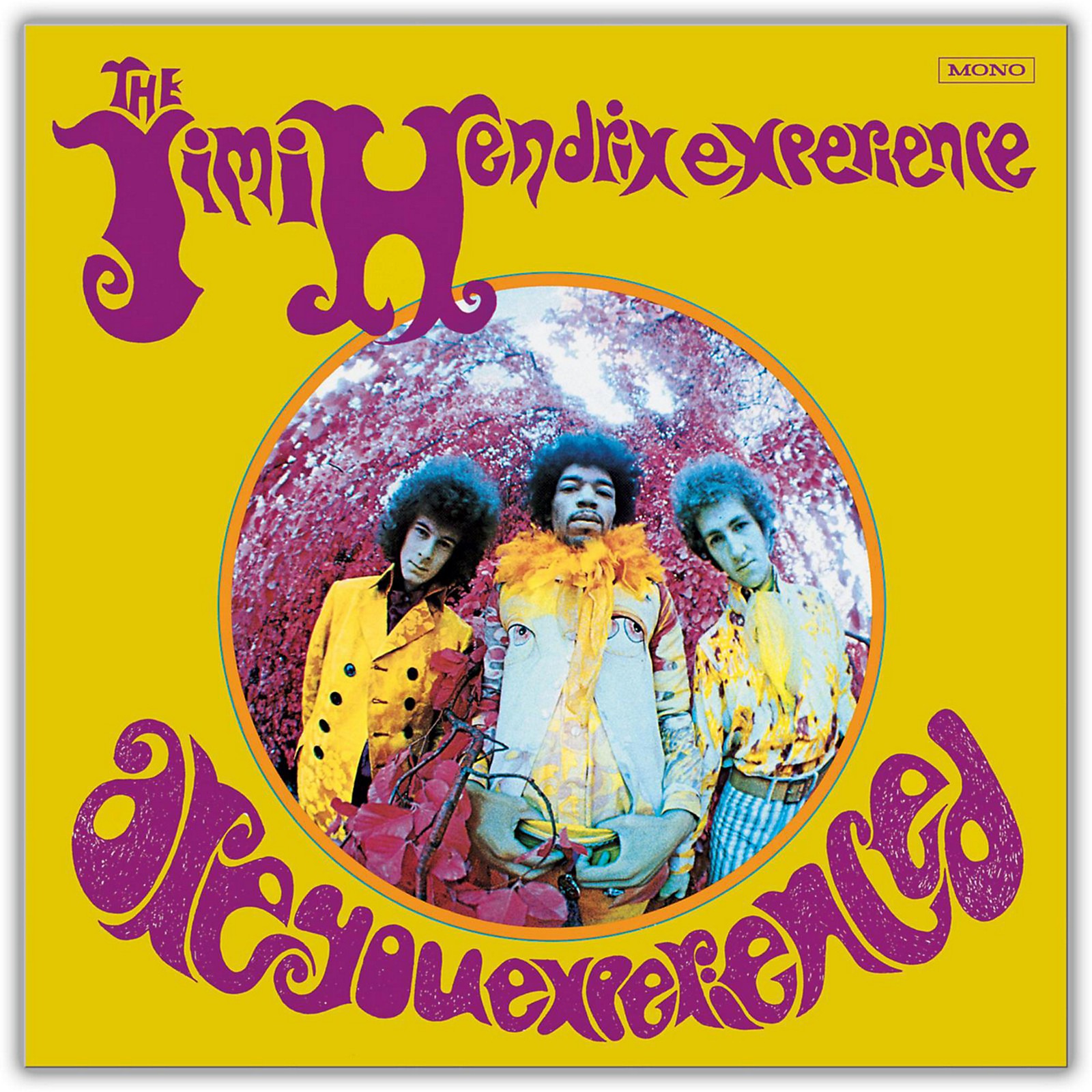 The Jimi Hendrix Experience - Are You Experienced Vinyl LP | Musician's