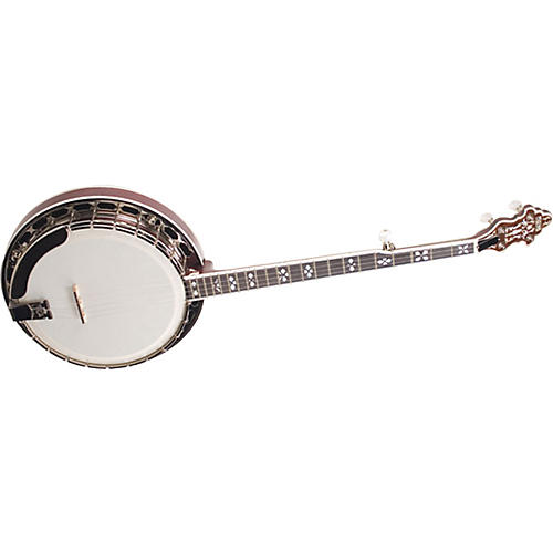 The Professional RK-R80A Archtop Banjo