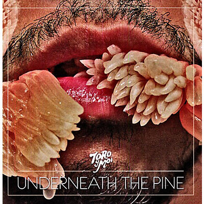 Toro y Moi - Underneath the Pine