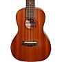 Islander Traditional concert ukulele with Mahogany top, Tortoise Binding Satin Natural