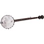 Rogue Travel / Starter Banjo