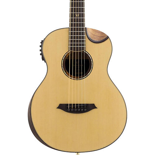 Traveler Guitar CL-3EQ Acoustic/ Electric with Gig Bag