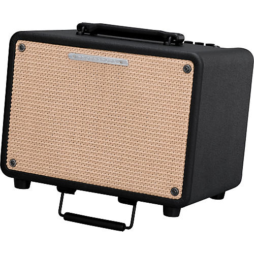 Troubadour T30 30W Acoustic Combo Amp