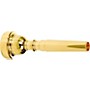 Bach Trumpet Mouthpieces in Gold 1D