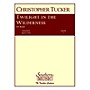 Southern Twilight in the Wilderness (Band/Concert Band Music) Concert Band Level 3 Composed by Christopher Tucker