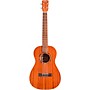 Open-Box Cordoba U1B Protege Baritone Ukulele Condition 2 - Blemished Natural 197881477066