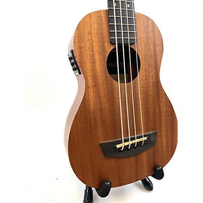 Kala Ubass WANDERER Acoustic Bass Guitar