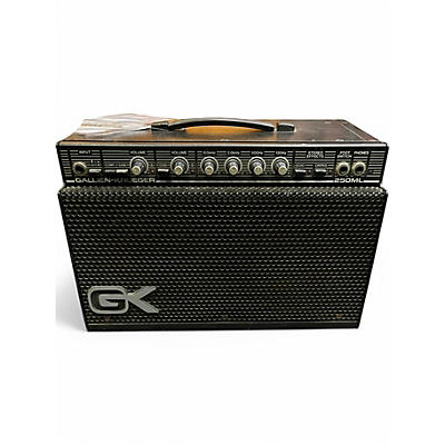 Used 1980s Gallien-Krueger SERIES II 250ml Guitar Combo Amp