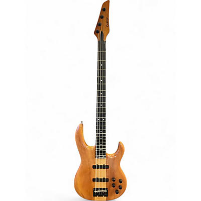 Carvin AC-50 5 String Fretless Acoustic-Electric Bass Guitar